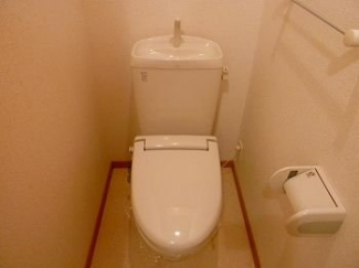 落ち着いた色調のトイレです