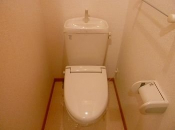 落ち着いた色調のトイレです
