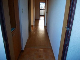 明るい玄関です