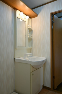 洗面台はシャワー部分が伸びて便利。