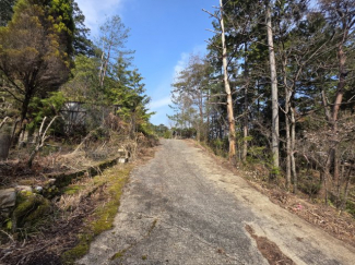 【前面道路含む現地写真】