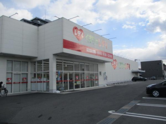 くすりのレデイ美沢店まで1221m