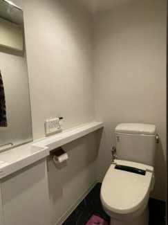 洗面台付き・収納のあるトイレです。