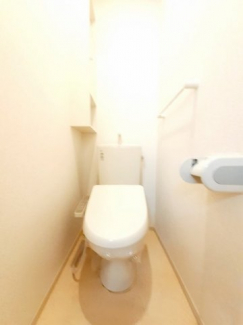 落ち着いた色調のトイレです