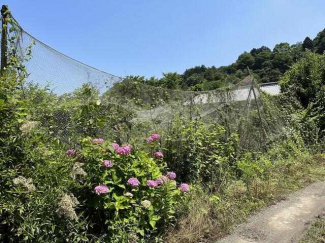 西条市早川の売地の画像