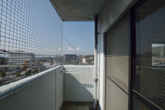 ★鳥よけネットあります