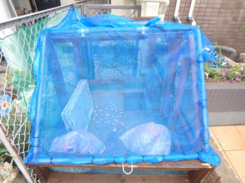 ゴミステーション