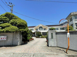 伊予市立郡中小学校まで1038m