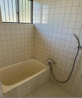 Ｐ１６７／３／４／いの画像