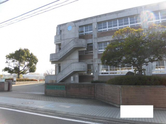 松山市立みどり小学校まで1336m