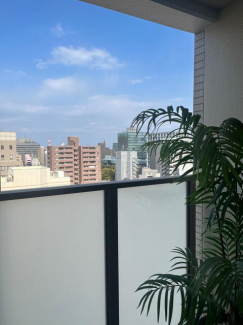 光と風を通す明るい玄関が嬉しい。