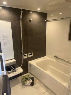 ミストサウナと、浴室暖房乾燥機付きのバスルームは、ゆったり１