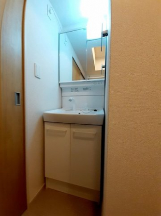 ゆったりとスペースのある洗面所