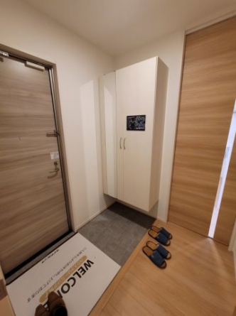 全身ミラーの付いたシューズボックスです。