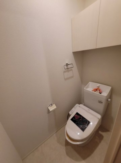 温水洗浄便座です。収納もあって便利。