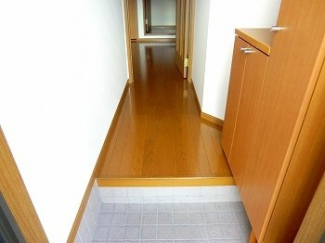 きれいな玄関です