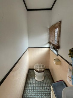 汲み取り式トイレです