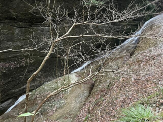 滑川渓谷まで800m