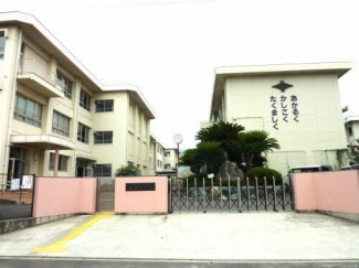 松山市立 桑原小学校まで1075m