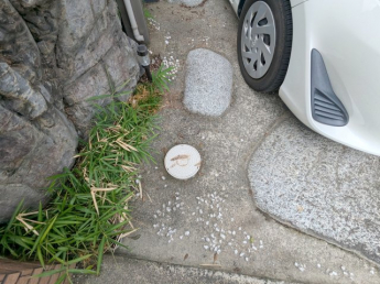 下水道整備地区です。