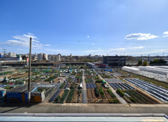 デーンと田園風景