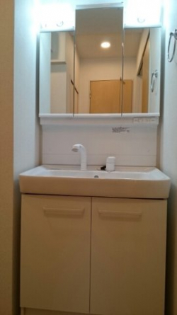 スペースが確保できる洗面所です