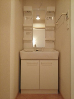 忙しい朝には欠かせない洗面所です