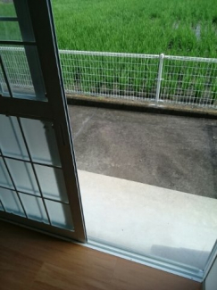 お庭が付いています