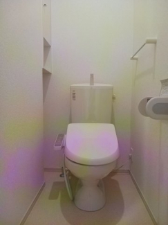 落ち着いた色調のトイレです