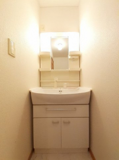 スペースが確保できる洗面所です