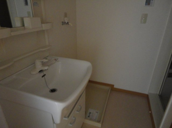 ゆったりとスペースのある洗面所