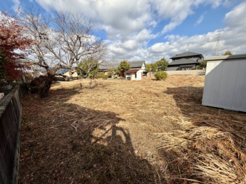 広々とした庭部分