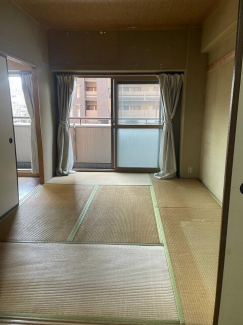 シャンボール千舟の画像