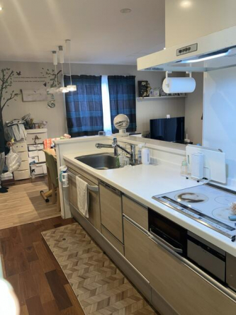 食器洗浄乾燥機・背面収納台