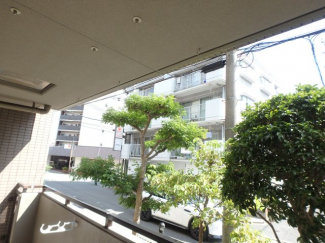 バルコニーからの景色です