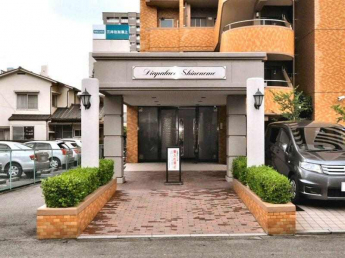 松山市東雲町の中古マンションの画像