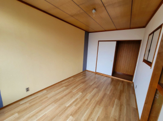 やわらかい雰囲気ですよ