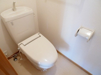 落ち着いた色調のトイレです