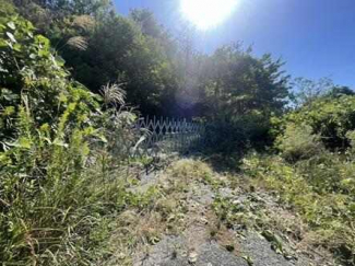 神戸市北区有野町唐櫃の売地の画像