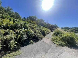 神戸市北区有野町唐櫃の売地の画像