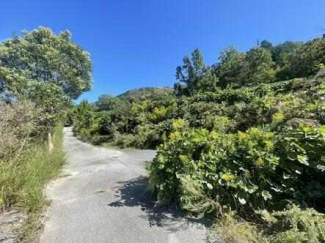 神戸市北区有野町唐櫃の売地の画像