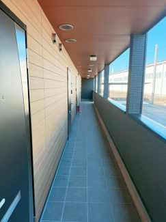 今治市大新田町５丁目のアパートの画像