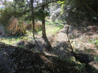 北側③番　畑２６１．６６坪