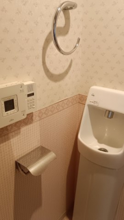 トイレ内に手洗いあり