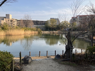 樋之池公園まで1210m