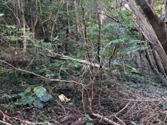 西宇和郡伊方町串の売地の画像