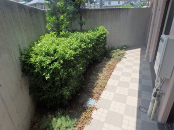 バルコニー・専用庭