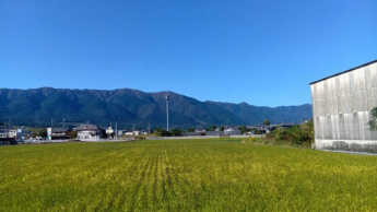敷地付近の農道からの風景