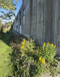 敷地北西側境界付近