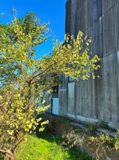 敷地北西側境界付近